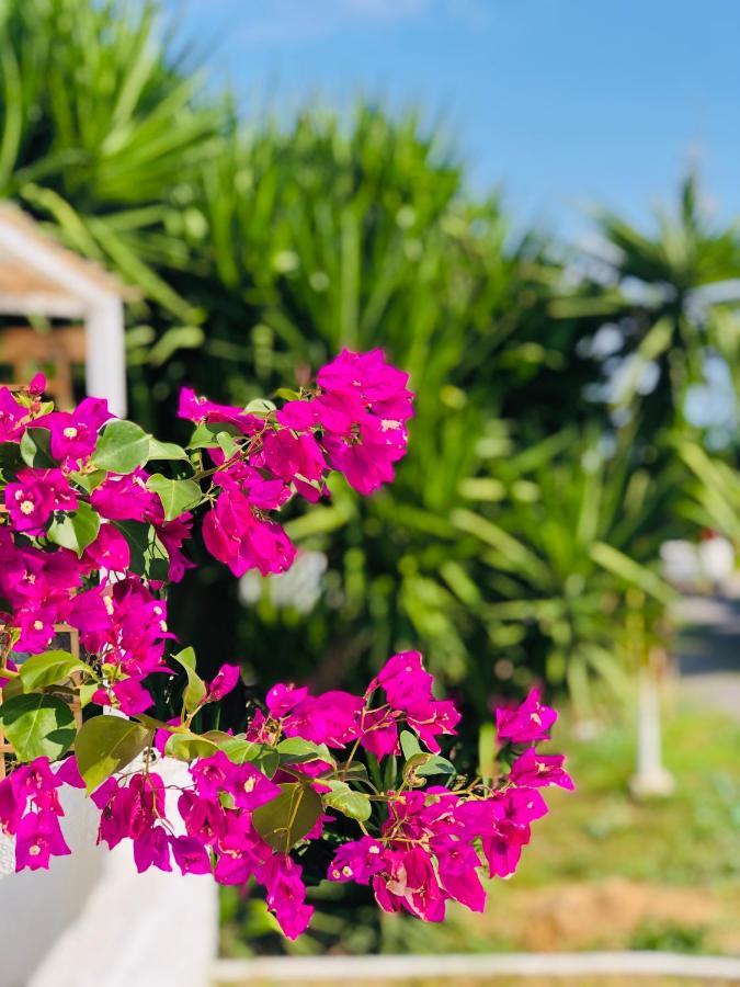 Peaceful Cottage House - Private Garden Analipsis  Exterior foto