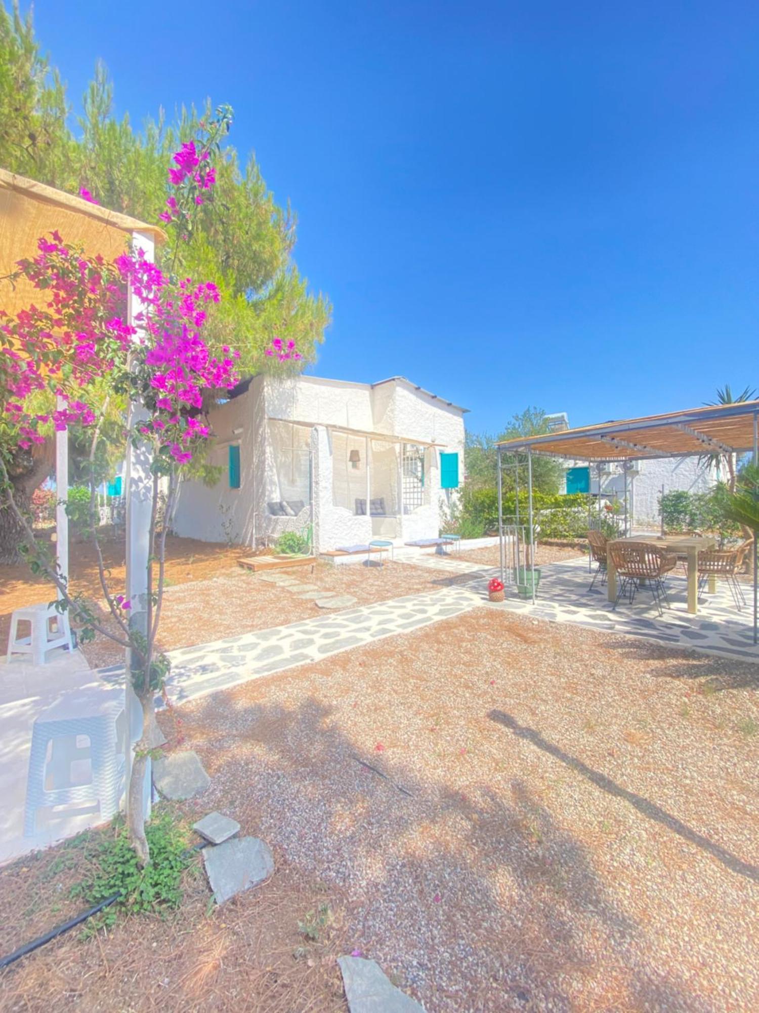 Peaceful Cottage House - Private Garden Analipsis  Exterior foto